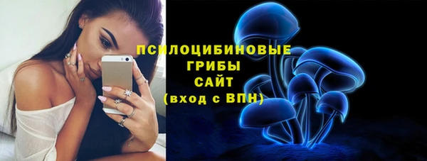 ALPHA PVP Верхний Тагил