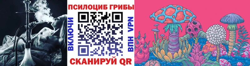 Псилоцибиновые грибы прущие грибы Казань